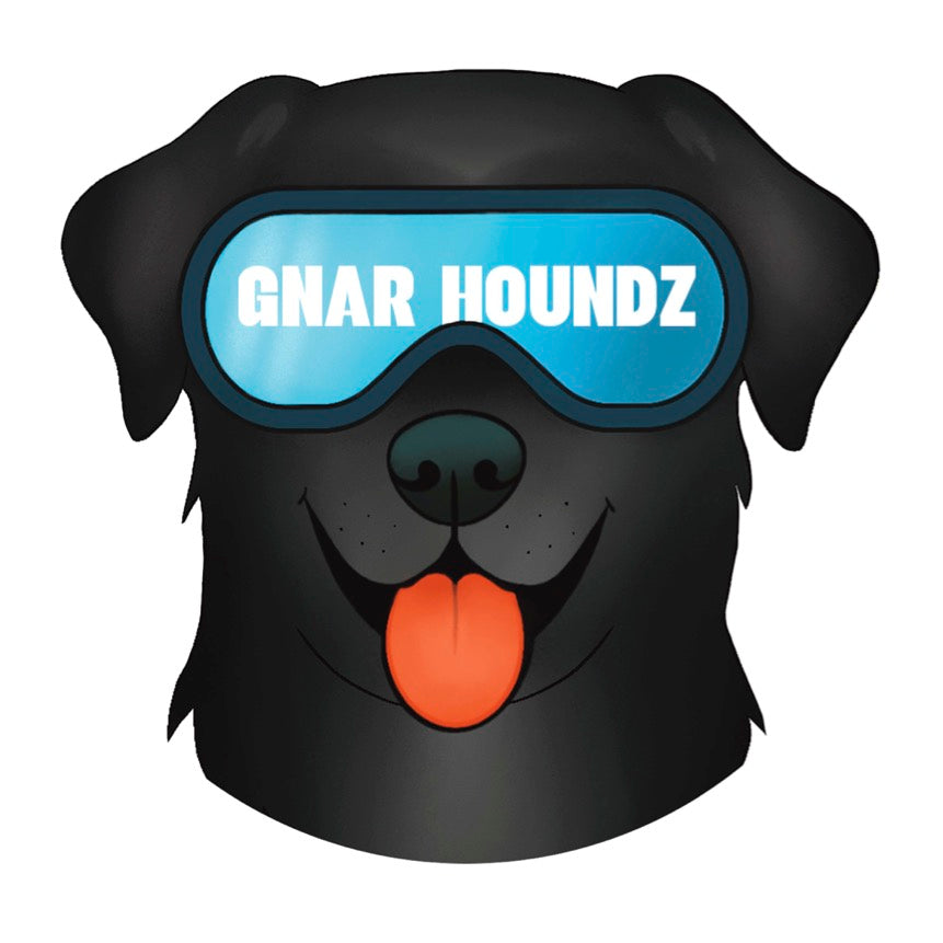 Black Lab Sticker